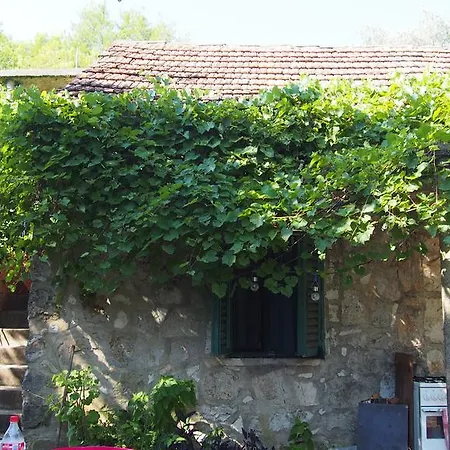 Sweet Mljet 2* Говедари