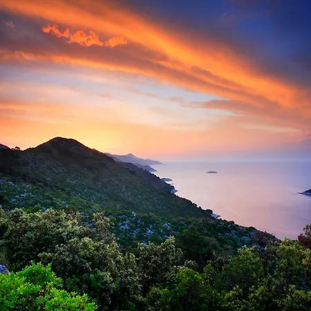 Sweet Mljet Говедари